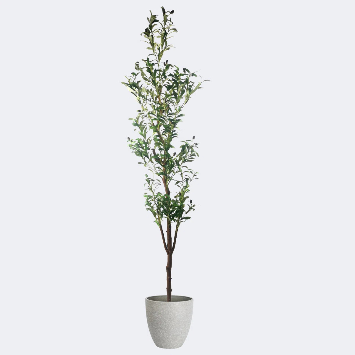 $145.99 | Wayfair North America