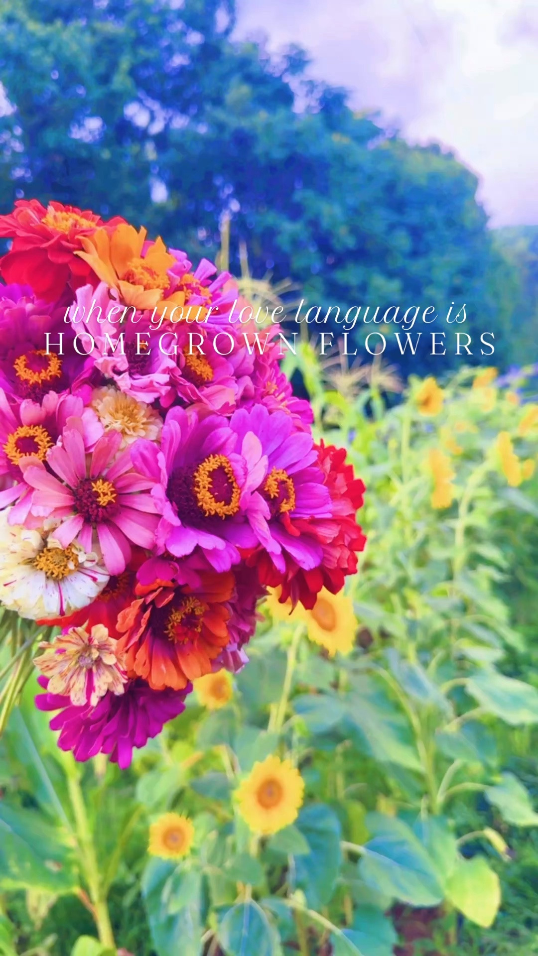 I’ve always been a   f l o w e r   c h i l d   🦋🌸💖 It’s officially my favorite time of year and picking farm fresh homegrown flowers 💐 is my most favorite thing 🫙 in the world !! 🌸🦋💐🧺🌼🤠🌻💖🪻#flowerchild #homegrownflowers #zinniaseason #farmgarden #inmygarden