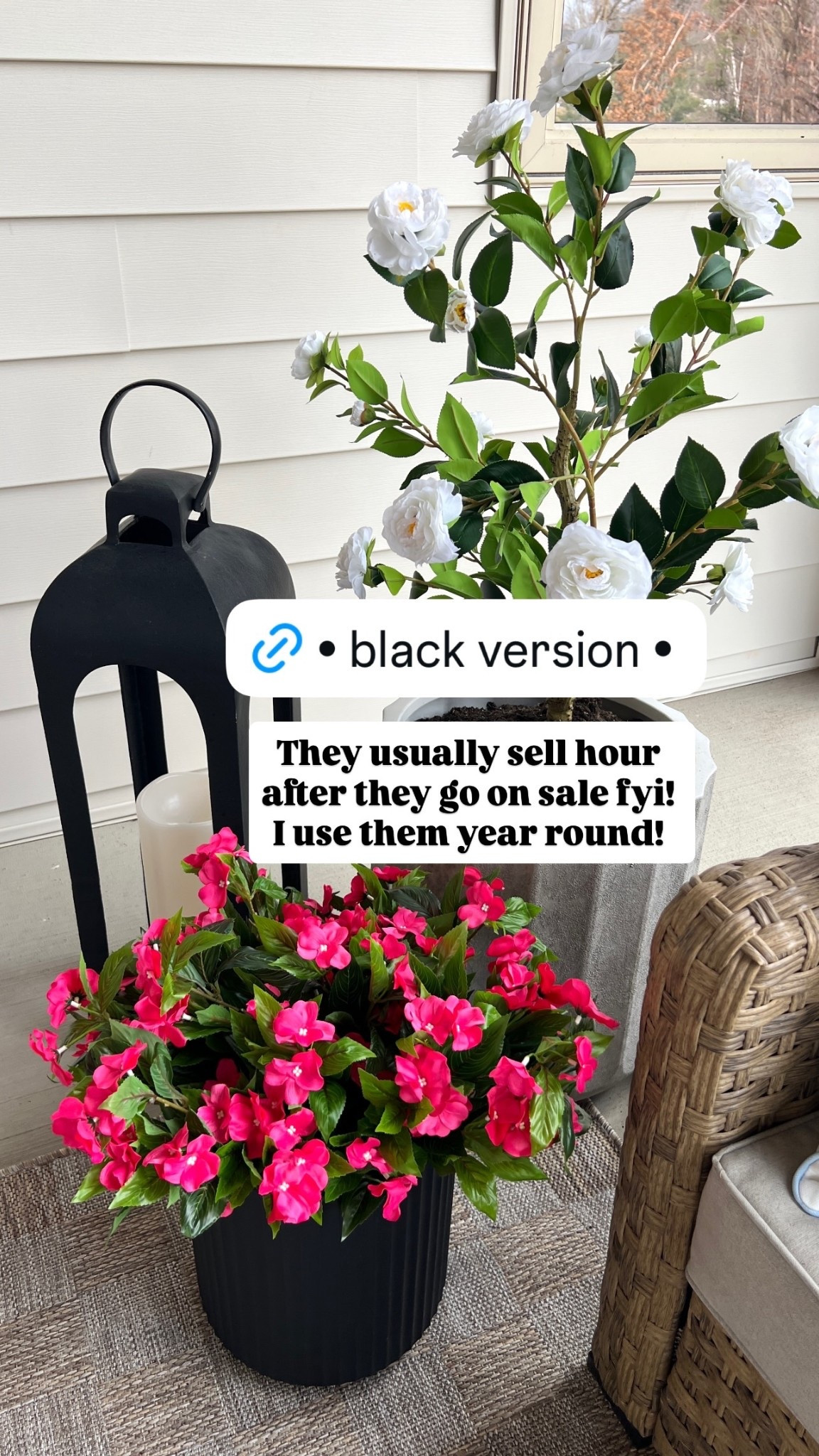 They usually sell hour after they go on sale fyi! I use them year round!