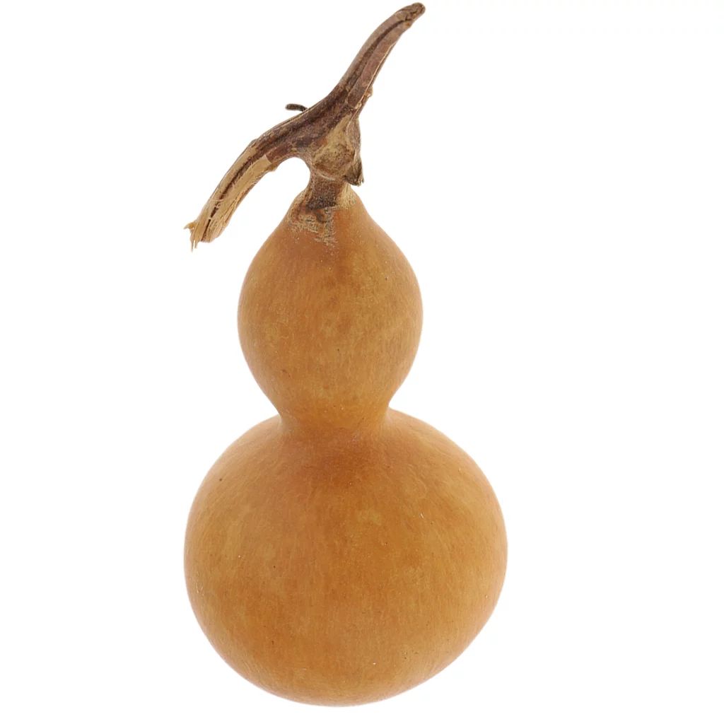Natural Dried Gourd Fruit Crafts Home Table Ornament - Walmart.com | Walmart (US)