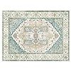Washable Area Rugs 8x10 Large 8x10 Area Rugs Non Slip Rug Low Pile Area Rug Distressed Printed Ca... | Amazon (US)