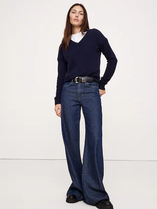 Lightweight Cashmere V-Neck Sweater | Banana Republic (US)