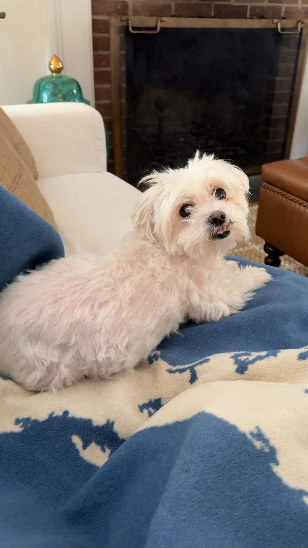 My Cape & the islands map blanket is on sale now

#LTKHome #LTKOver40