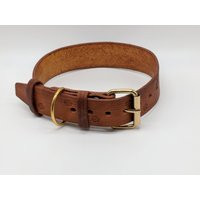 Hand-Tanned Leather Dog Collar With Paws - Dark Oak | Etsy (US)