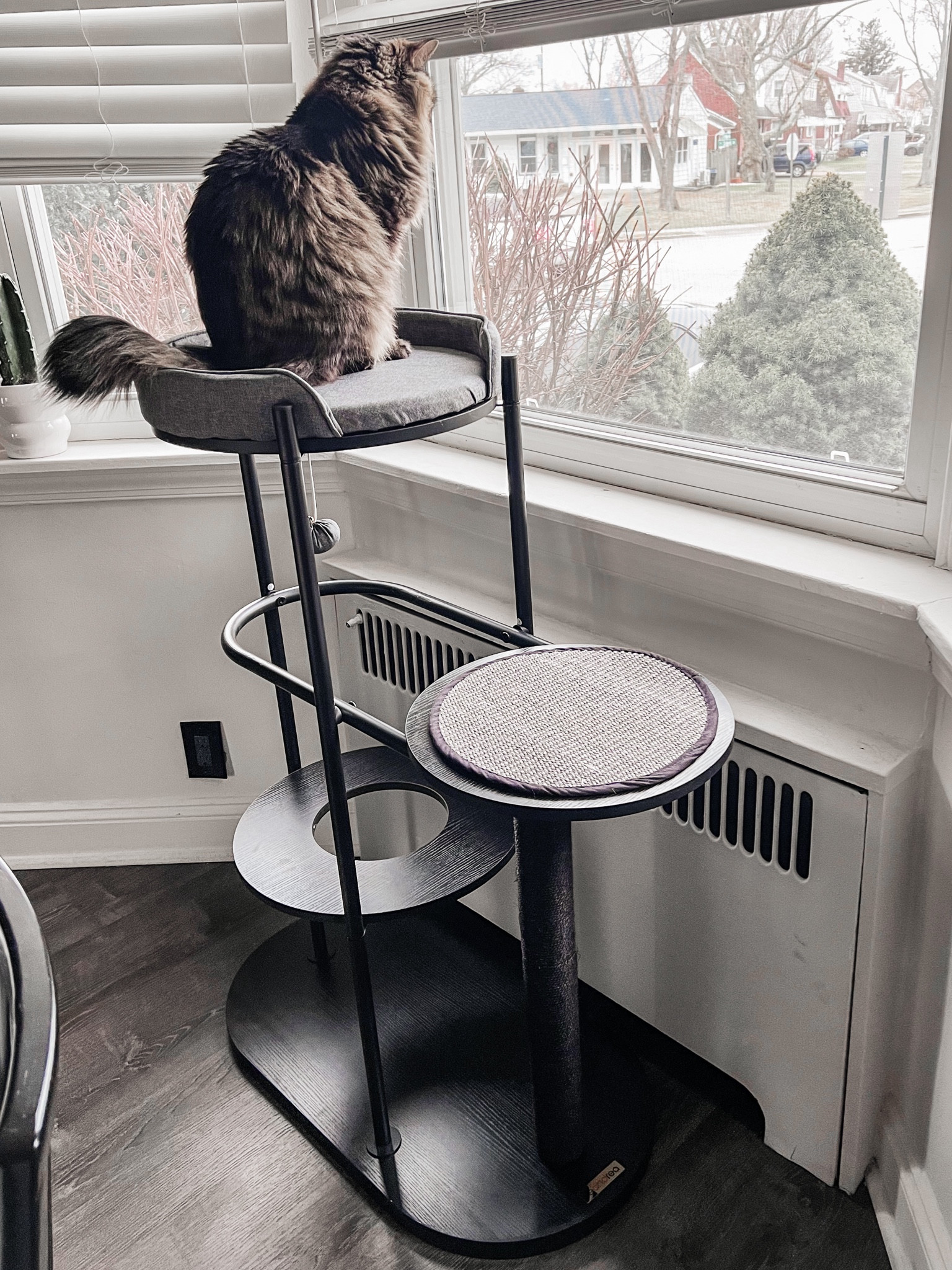 Modern Cat Tree, Heavy Duty Cat Tower, Steel Tube and Particleboard, Platform with Cushion, Sisal Cat Scratching Post, Hanging Cotton-Linen Ball, 31 x 17 x 44 Inches, Classic Black

#LTKhome #LTKstyletip #LTKfindsunder100