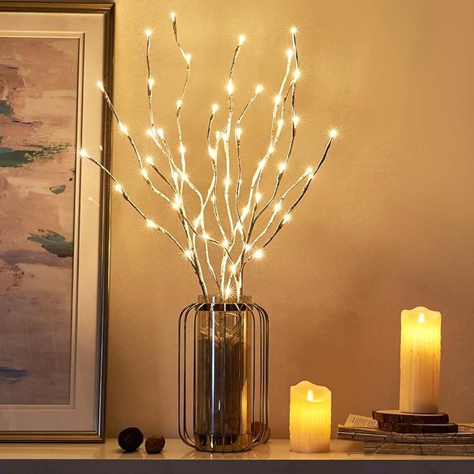 EAMBRITE Pre Lit White Birch Twig Branch Lights 30IN 60LT Plug in Lighted Willow Branch for Home ... | Amazon (US)