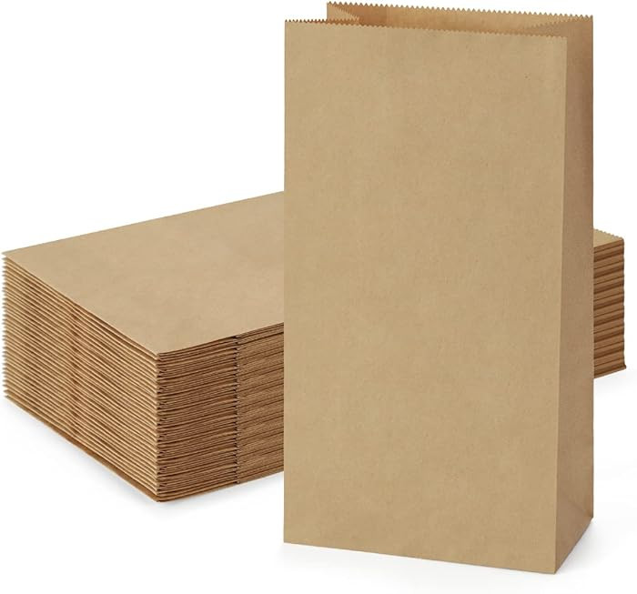 SHOPDAY 100 Pack Brown Kraft Paper Lunch Bags, 4lb Capacity, 5x2.95x9.45 Inches, Fold Top, Dispos... | Amazon (US)