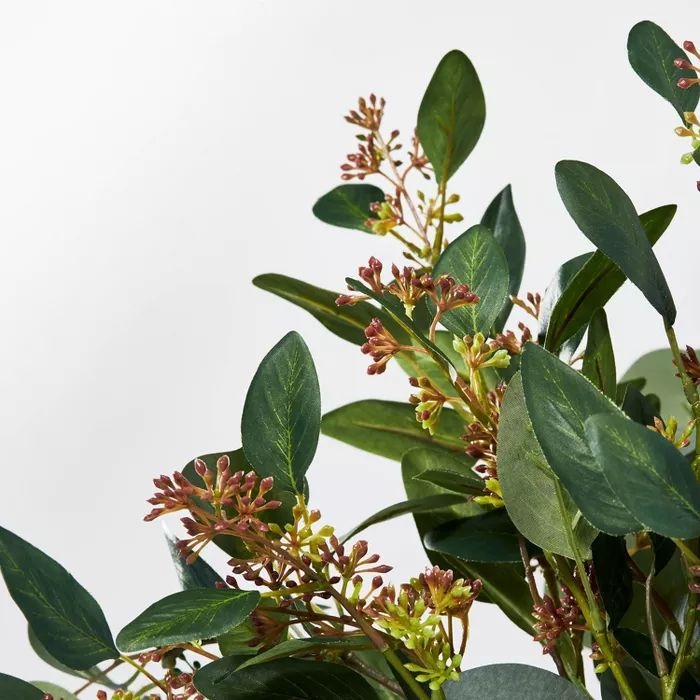 20" x 18" Seeded Eucalyptus and Pod Plant Arrangement in Ceramic Vase - Threshold™ designed wit... | Target