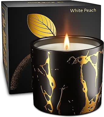 Scented Candles, Premium Peach Amber Candles for Home Scented, 7oz Large Fall Aromatherapy Candle... | Amazon (US)