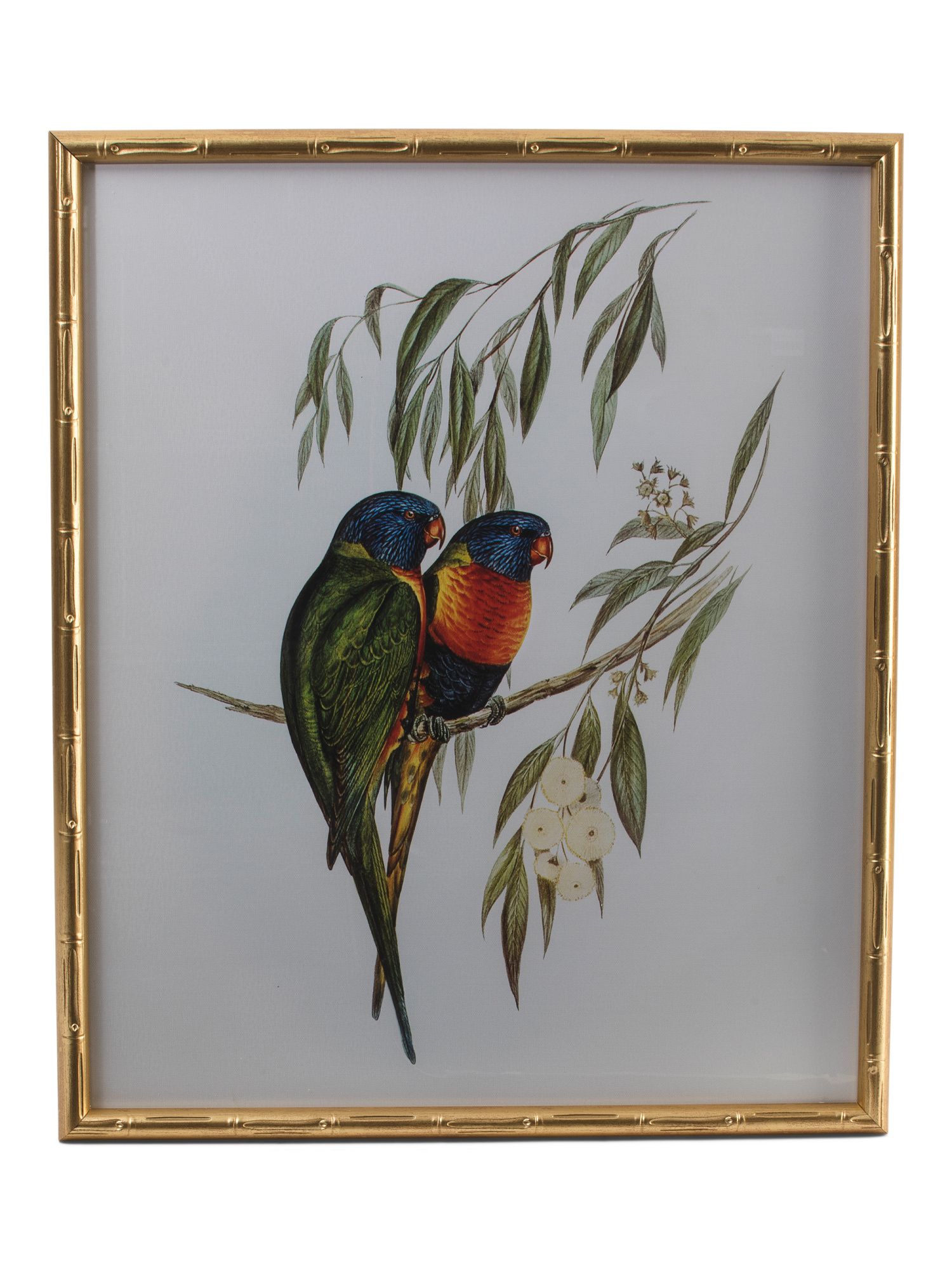 20x24 Parakeet Pair In Ornate Frame | Home | Marshalls | Marshalls