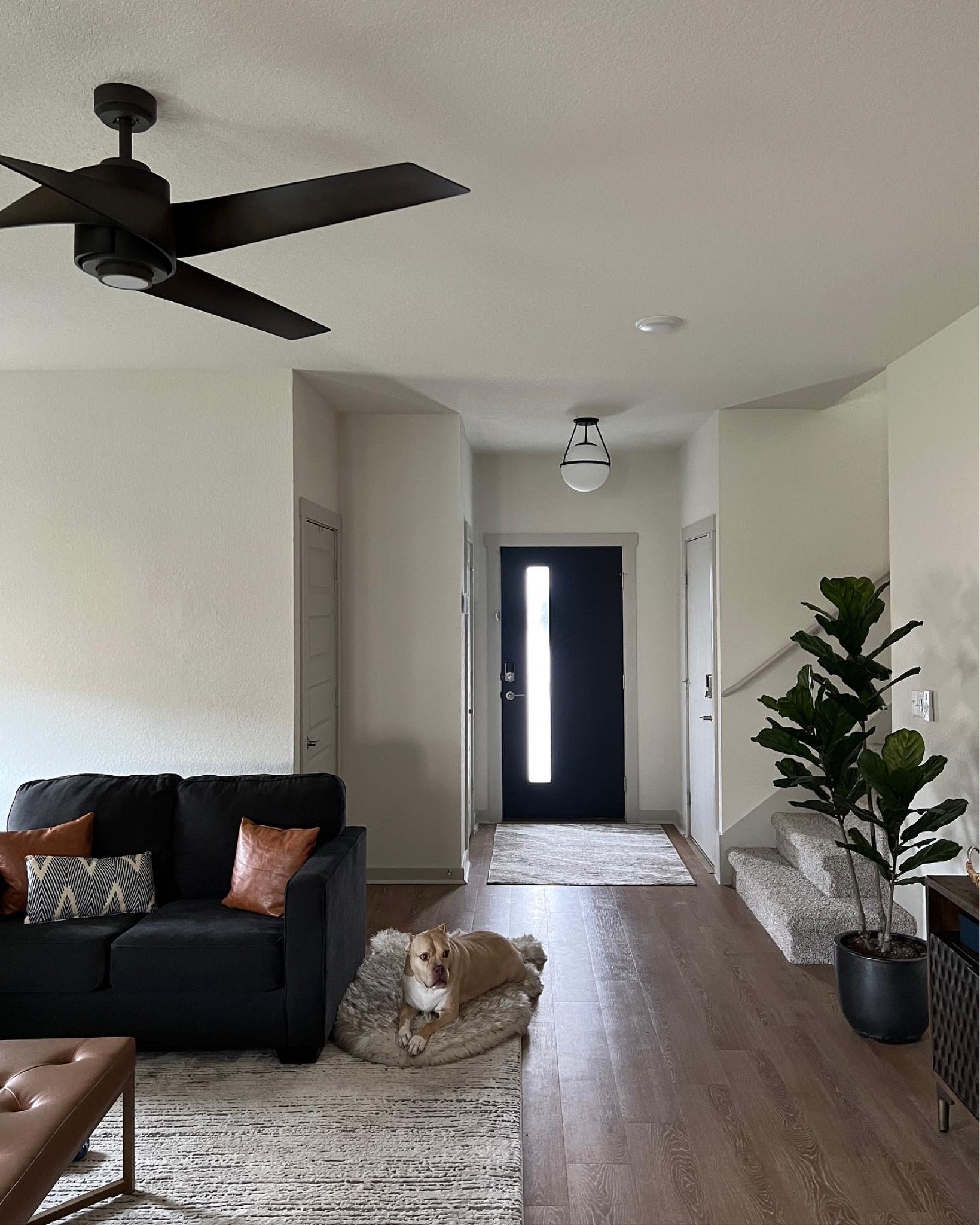 Entry Makeover Details ✨
- Rug big enough to catch dirt from front and garage door ($45) 
- Painted door black ($10 gallon of oops paint) 
- New light ($177) 
- Had alarm panel moved from behind couch to by door ($150)
Total $382 

Just like everything else in our new build, there was nothing *wrong* with this area… except maybe the weird placement of the alarm panel in the living room. It was just so boring to me. Now I love how the door pops and matches our couches and other dark gray accents. We take our shoes off at the door but the rug still really helps with dirt getting tracked in. 

Up next for this area: 
Large format art for the wall where the alarm was 
Stain the stair rail 

#homedecor #homedesign #diyhomedecor #showushowyoudiy #hgtvhome #apartmenttherapy #wayfair #amazonfinds #ltkhome

#LTKhome