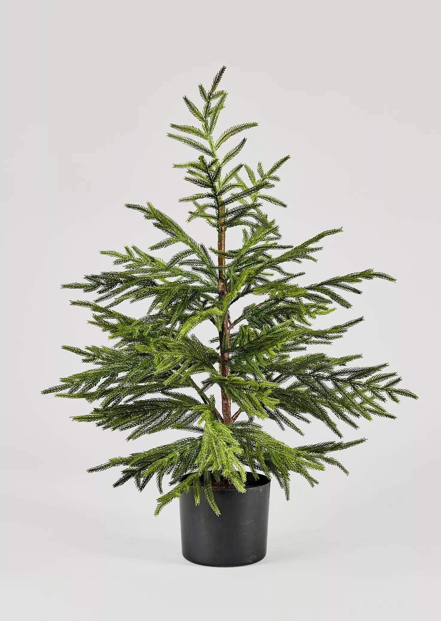 Norfolk Pine Stem Real Touch Green … curated on LTK