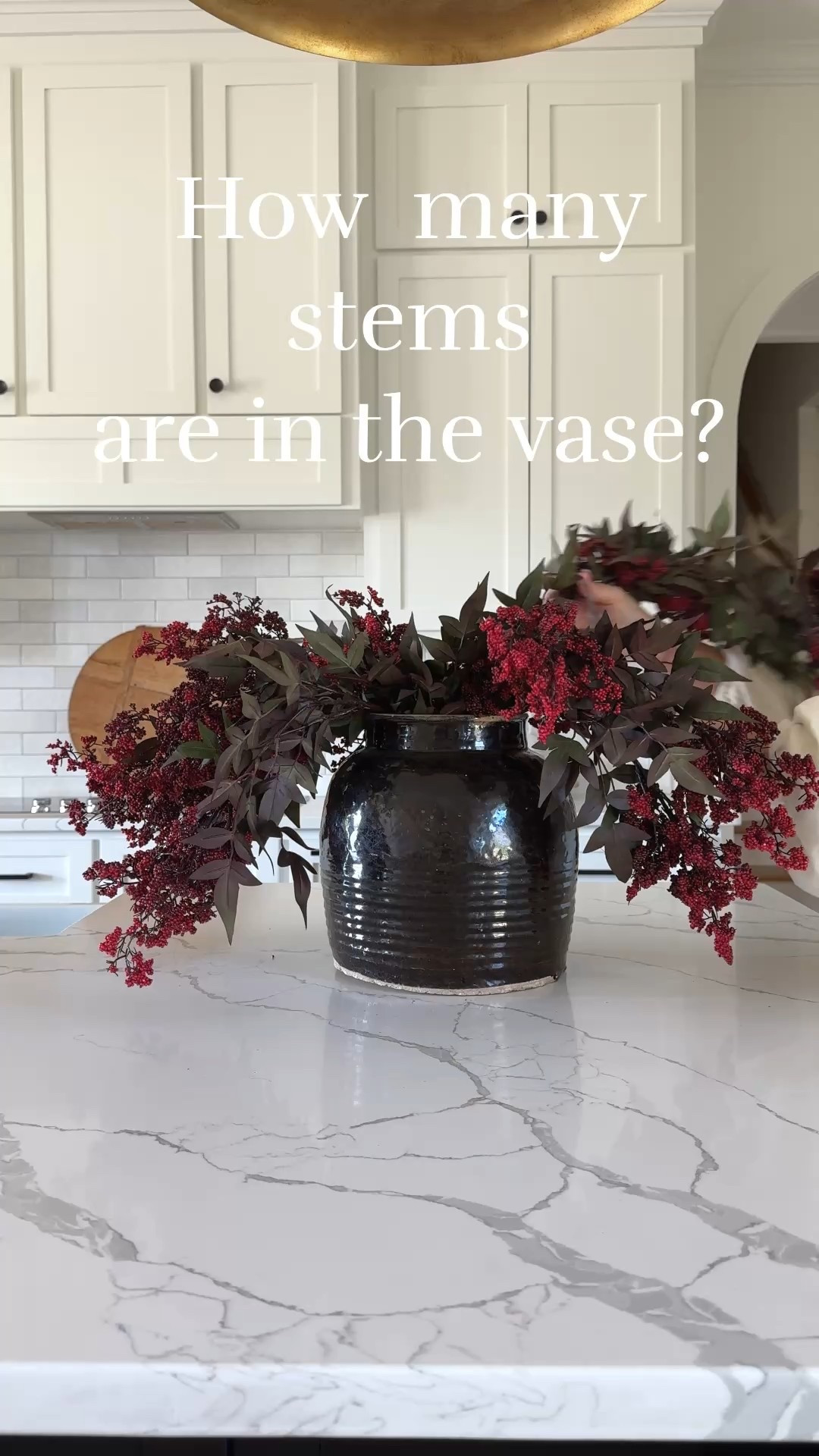 The most beautiful fall & winter stems!! 

#LTKSeasonal #LTKFallSale