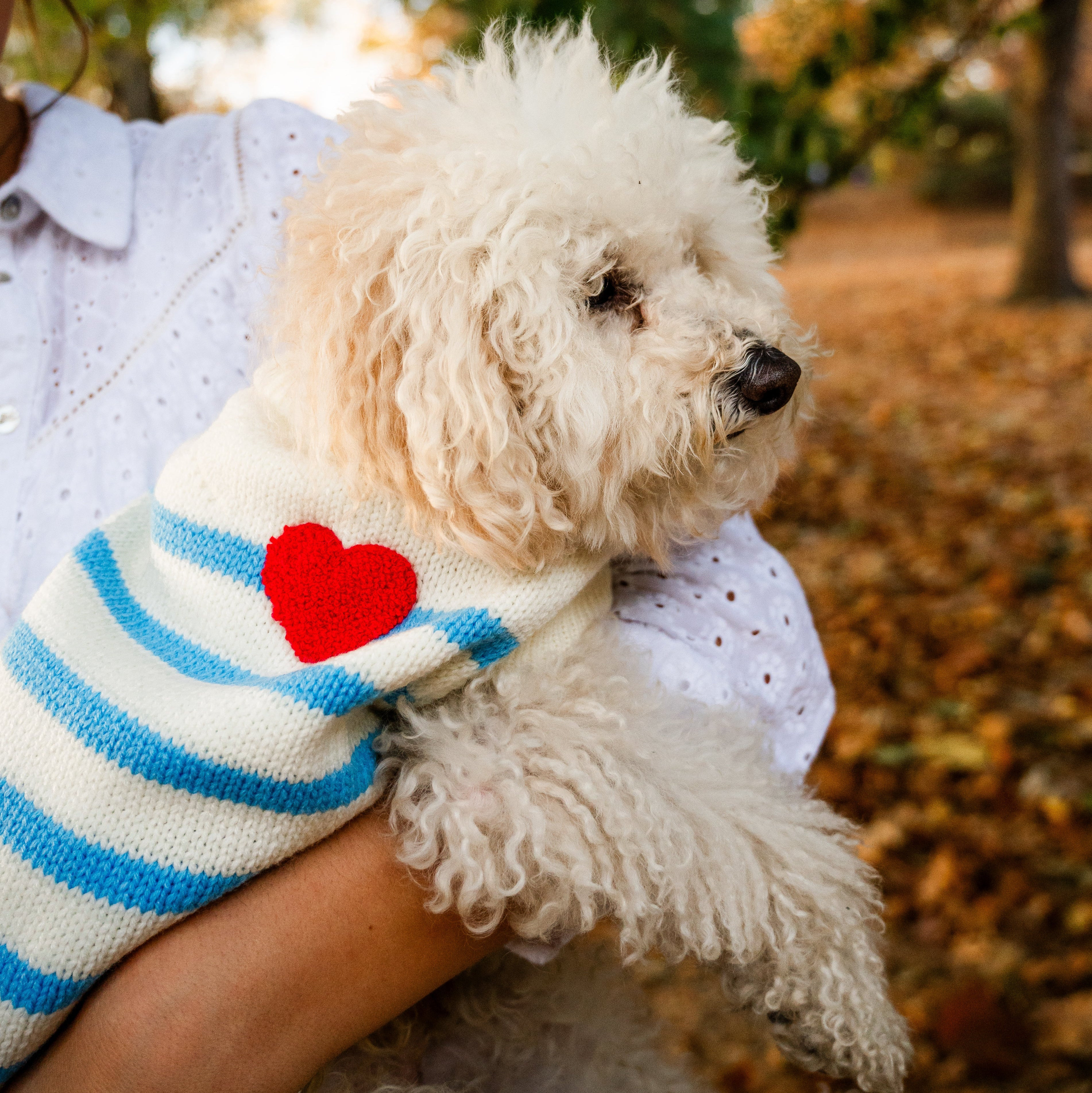 Striped Dog Sweater | Draper James (US)