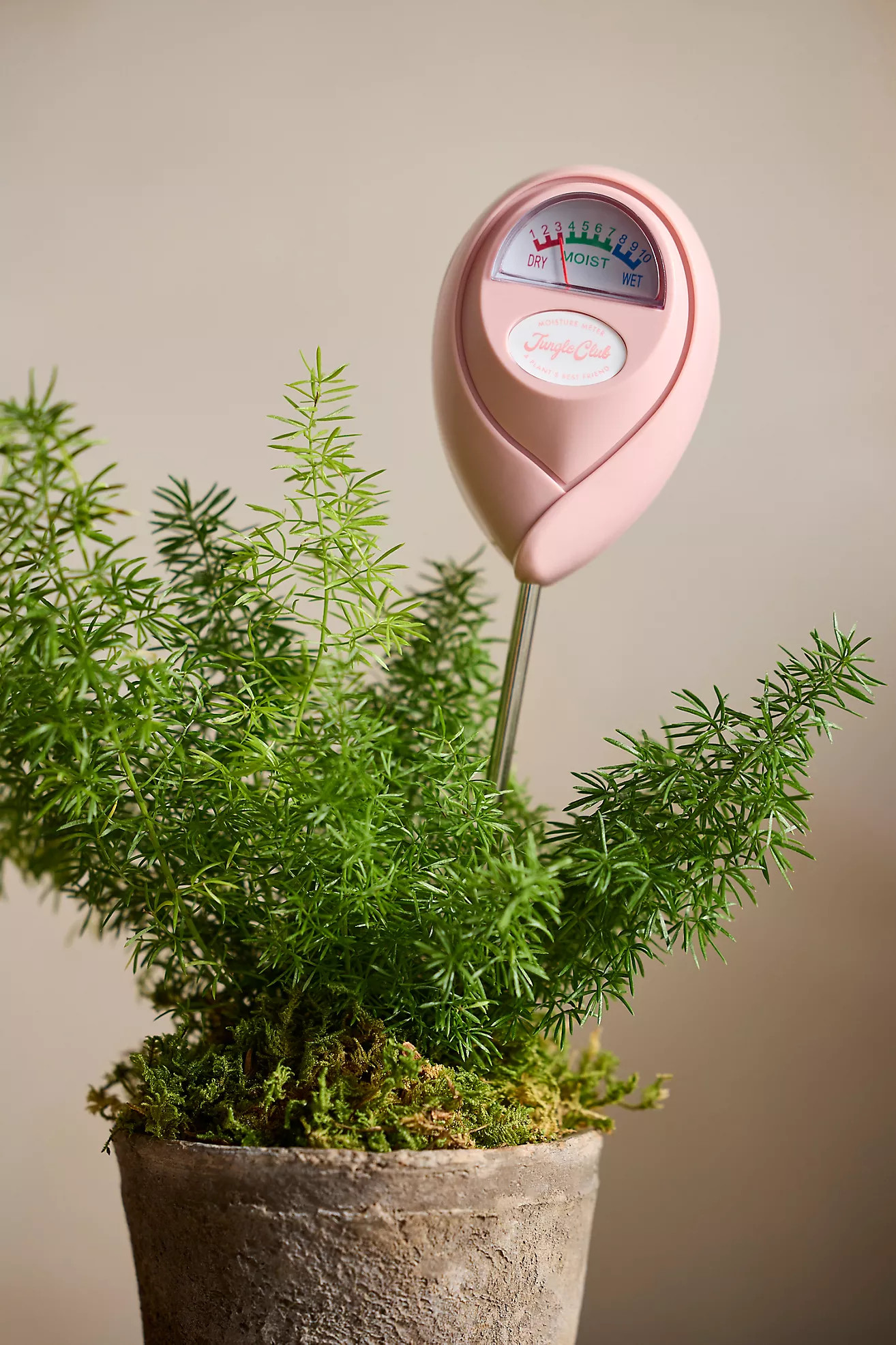 Plant Moisture Meter | Anthropologie (US)