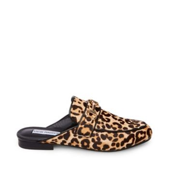 KANDI-L LEOPARD | Steve Madden (US)