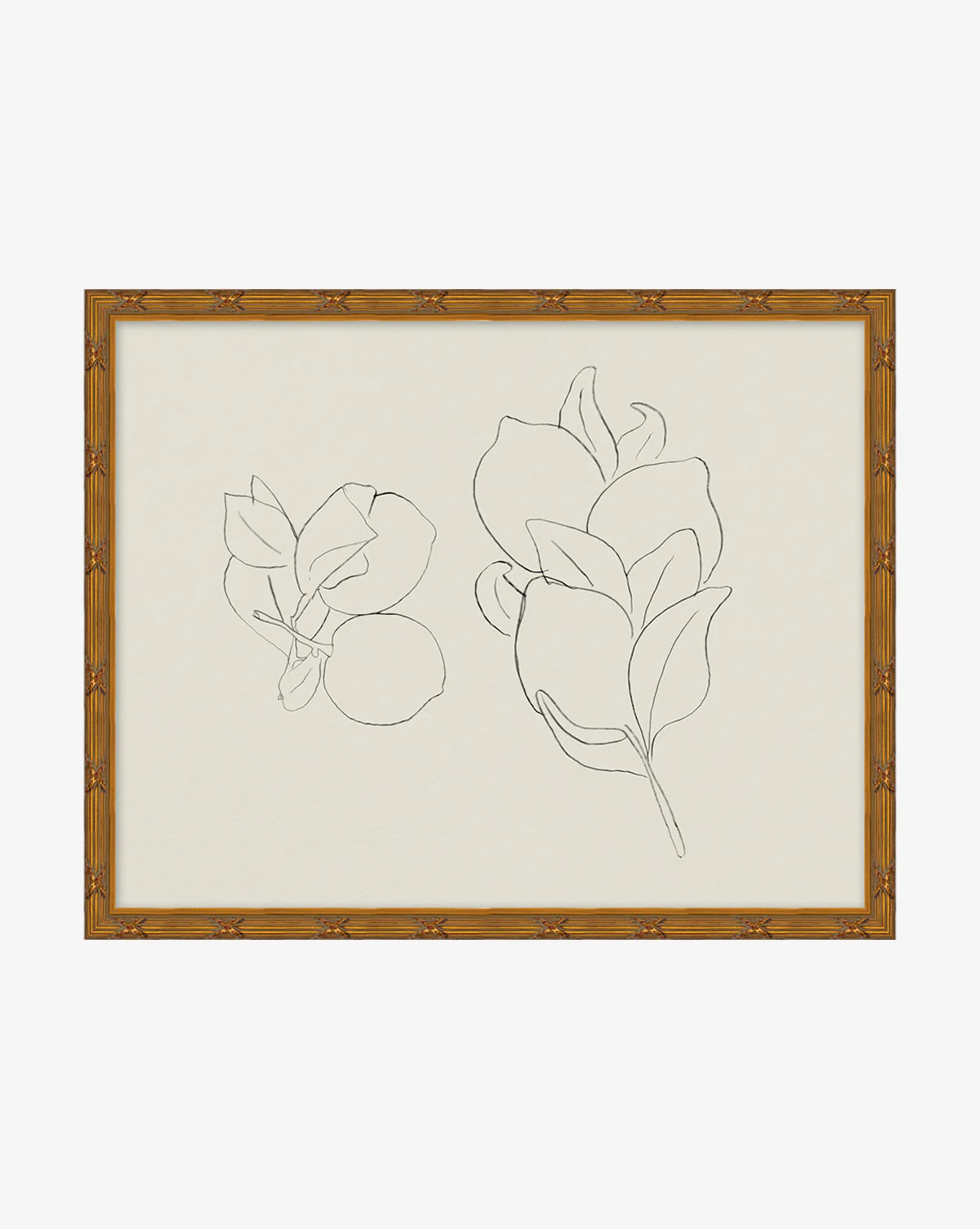 Sketched Fruit II | McGee & Co. (US)