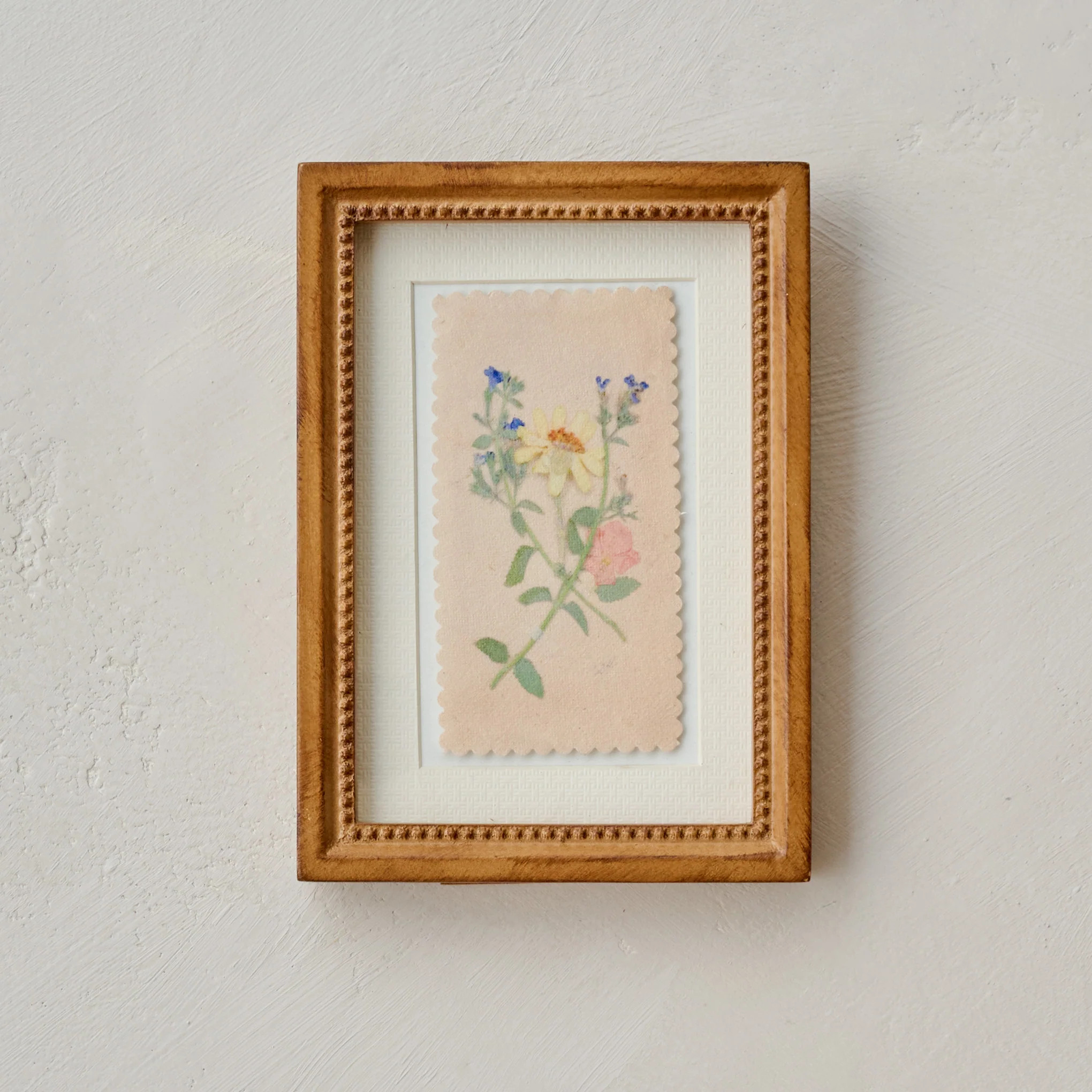 "Collected Spring" Jo's Framed Herbarium Print | Magnolia