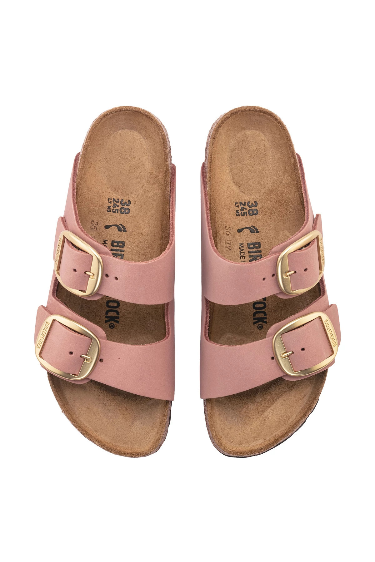 Arizona Big Buckle Slides | Everything But Water