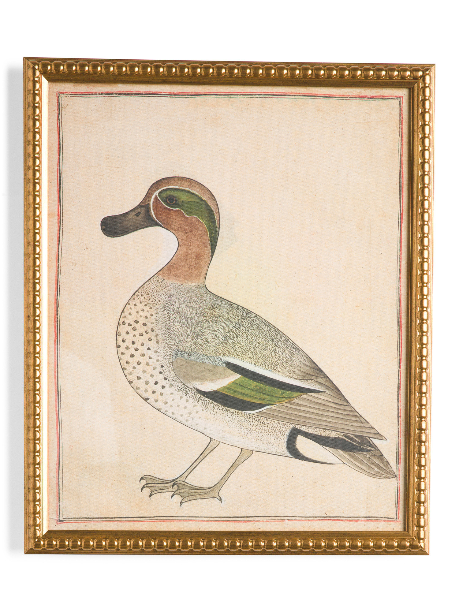 20x24 Framed Duck Wall Art | TJ Maxx