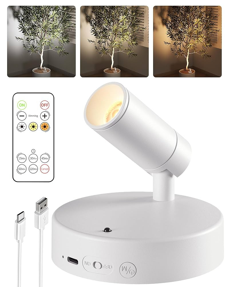EZVALO Battery Powered LED Spotlight Indoor, Wireless Plants Spot Light with Remote,5500mAh Recha... | Amazon (US)