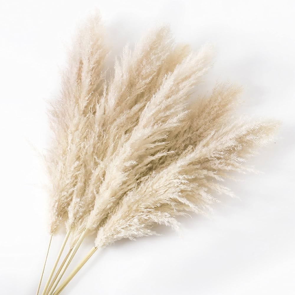 BARABELLA 43' Natural Dried Pampas Grass, Set of 6 Stems - Pompous, Tall, Large, and Fluffy Pampa... | Amazon (US)