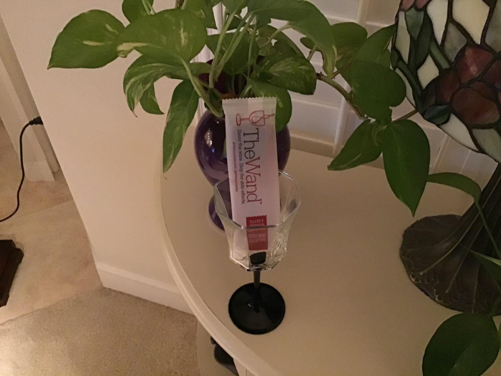 PureWine Wine Wands Purifier, Filters Histamines and Sulfites - May Reduce and Alleviate Wine All... | Amazon (US)