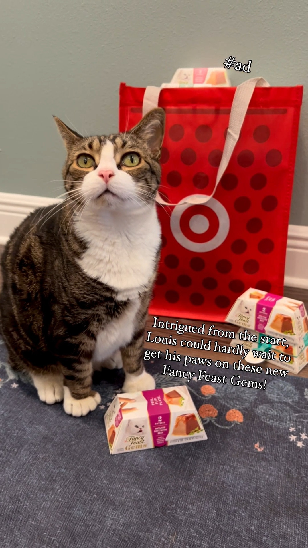 #ad Cats are particular creatures — it’s part of their charm, of course — but it can make finding the right cat food no small task. Luckily, Fancy Feast Gems are here to help.  My cat Louis was all too eager to taste test these savory meals — he could hardly keep his paws off the containers before I even opened one! I knew we were onto something good, then. 
This savory mousse comes in an easy-to-eat pyramid shape with a serving of rich gravy on top — plated in seconds, served without mess, and (clearly) enjoyed to the last bite. Louis not the only one who approves: it’s become part of our three cats’ daily routine, and I love that it’s an easy grab at Target!  I’ve linked each of the @FancyFeastcatfood Gems my cats have loved in my LTK shop – all available at @target -- so you can pick up a pack or two directly from there! #MyFancyCat #TargetPartner #Target @FancyFeastcatfood @target

#LTKFamily #LTKHome #LTKPets
