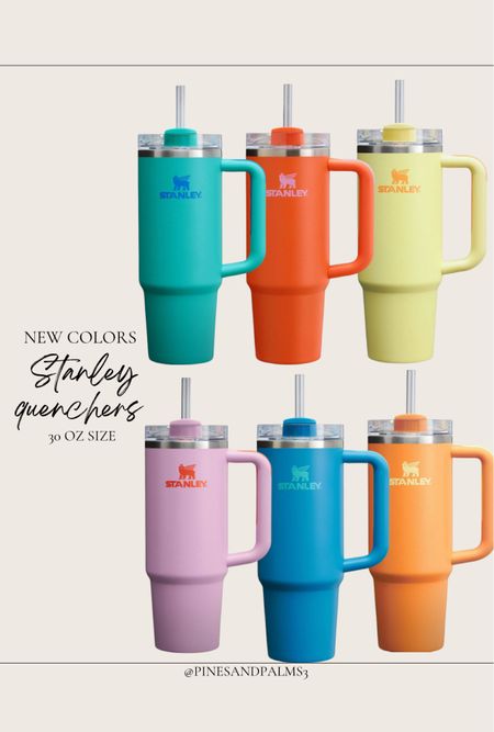 New Stanley colors in the 30 oz size 
Gift idea 

#LTKFindsUnder50