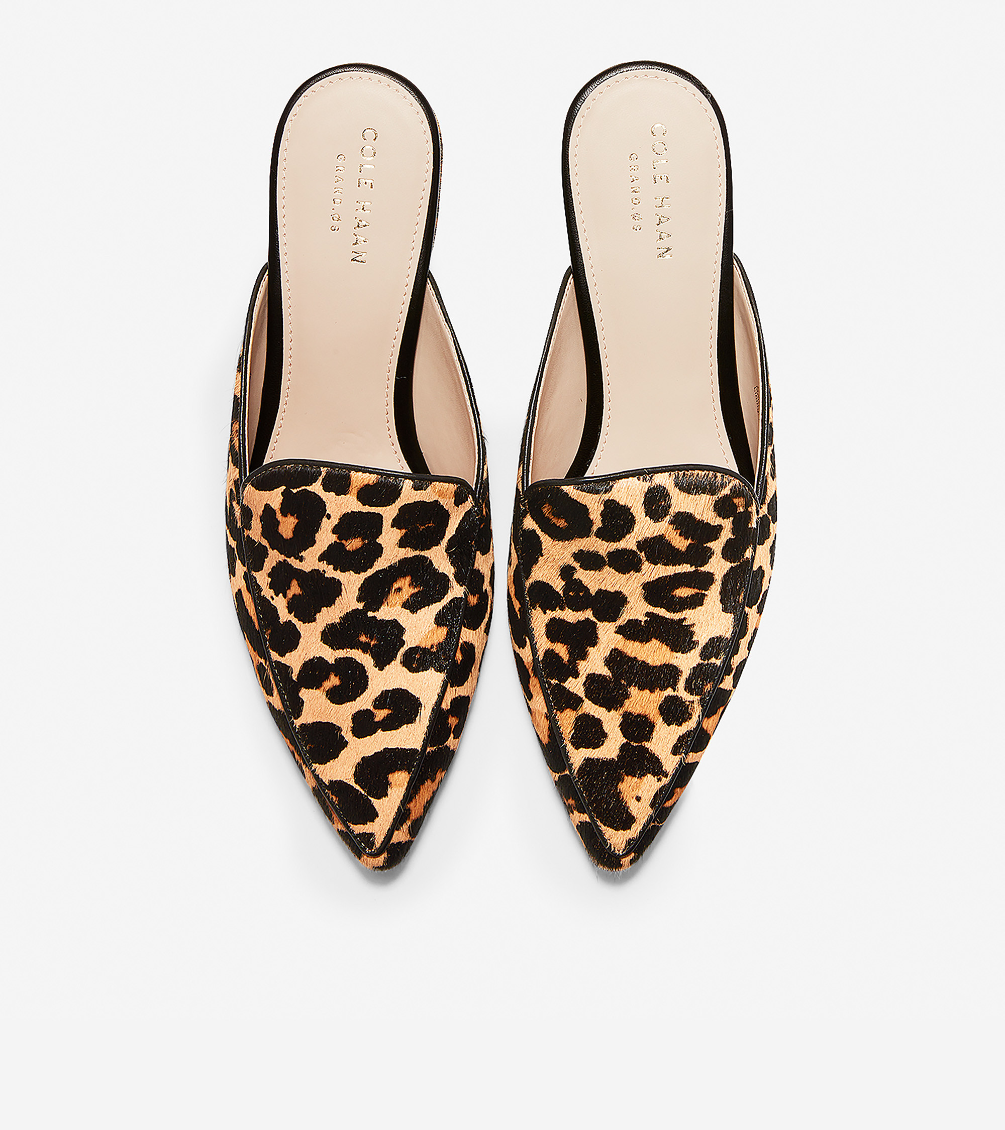 Piper Mule | Cole Haan (US)