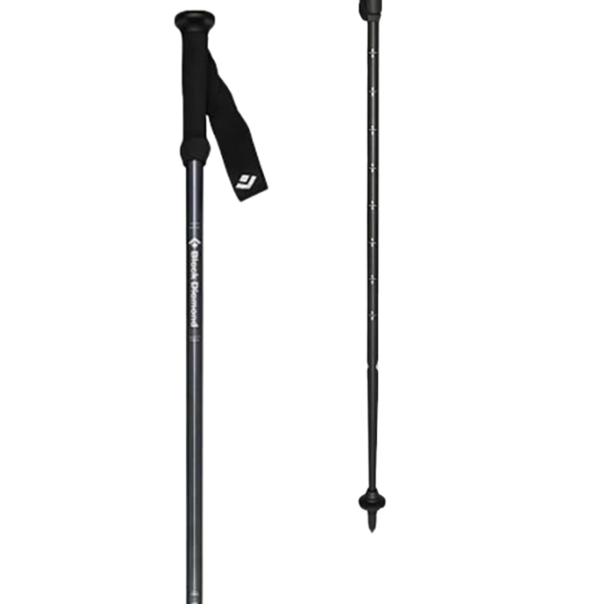 Black Diamond Explorer 2 Trekking Poles | Backcountry