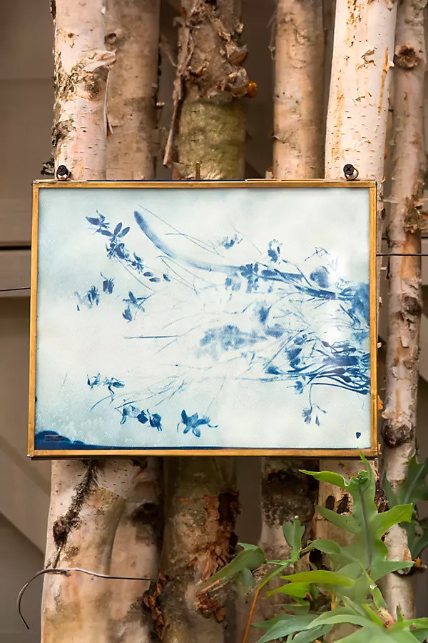 Sun Printing Kit, Large Paper | Anthropologie (US)