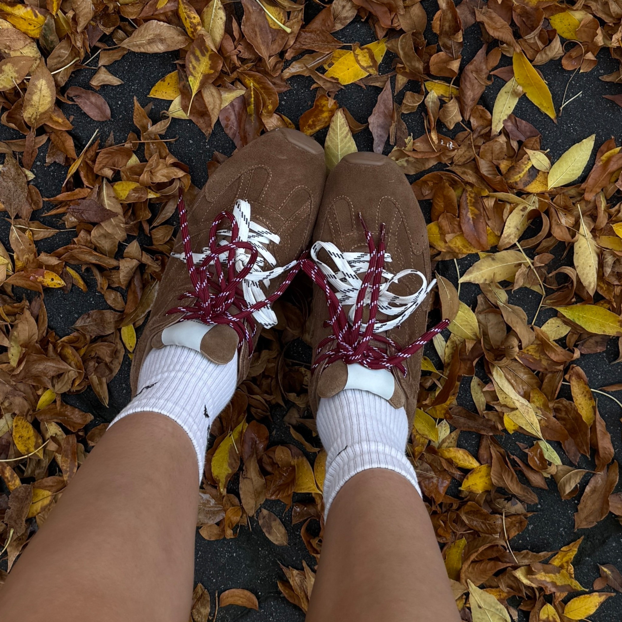 Perfect fall sneakers from Steve Madden I changed the laces from green to maroon 🤎🍂 

#LTKShoeCrush #LTKSeasonal #LTKFallSale