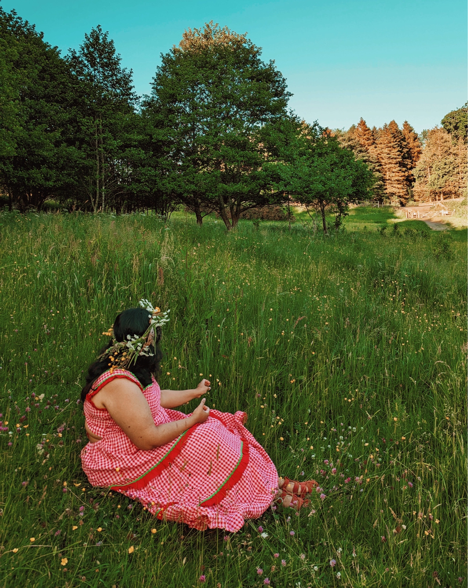 Midsummer meadows and the dreamiest cottagecore gingham dress. 

#LTKcurves #LTKSeasonal #LTKeurope