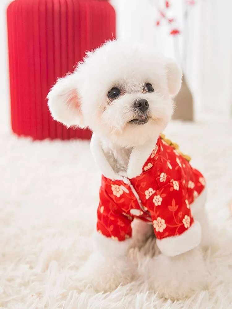 Chinese New Year Tang Suit Pet Coat | SHEIN
