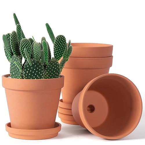 Orceler 6 inch Terracotta & Clay Pots for Plants with Saucer, Medium Terra Cotta Plant Pots with Drainage Hole, Flowerpot with Tray, Terracotta Pot for Indoor Outdoor Plant - Pack of 4 Planters | Amazon (US)