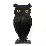 National Tree Company Tabletop Decoration, Black, Lifelike Owl, Halloween Collection, 11 Inches | Amazon (US)