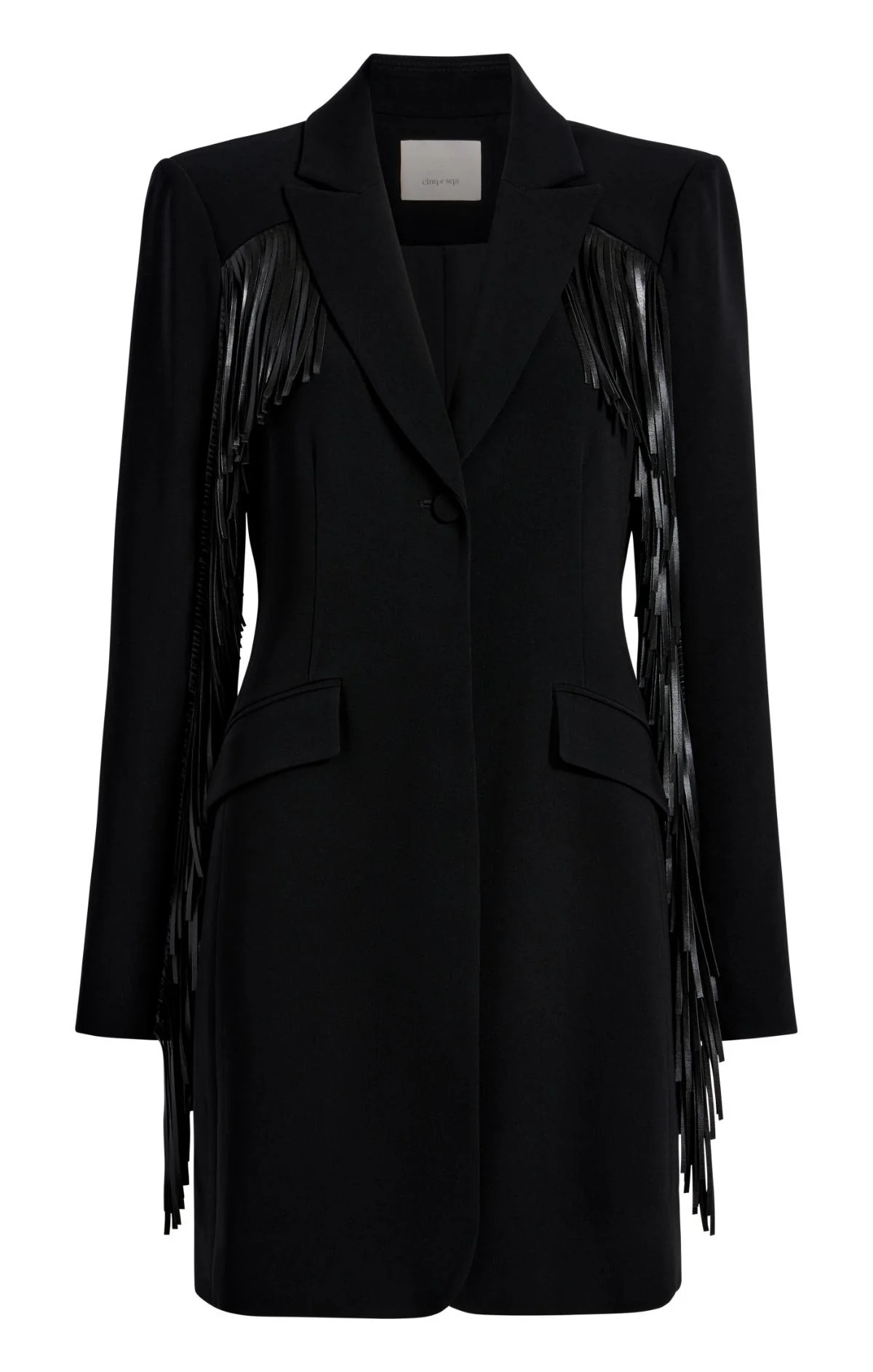 Fringe Joelette Dress | Cinq à Sept