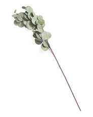30in Real Touch Silver Dollar Eucalyptus Branch | Marshalls