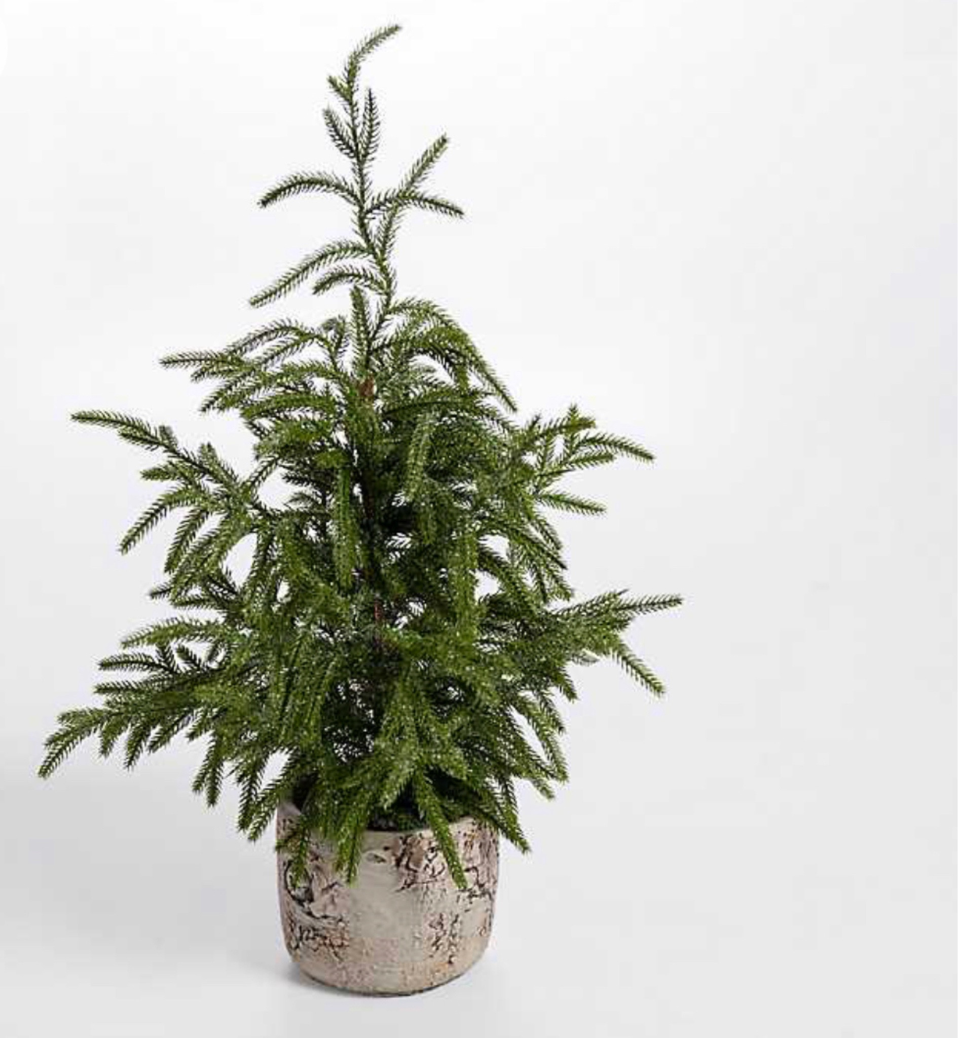 Norfolk flocked Christmas tree - it’s so good!  And, a great price.  

Holiday decor  Christmas decor 
Christmas tree 
Home decor 

#LTKSeasonal #LTKHoliday #LTKGiftGuide