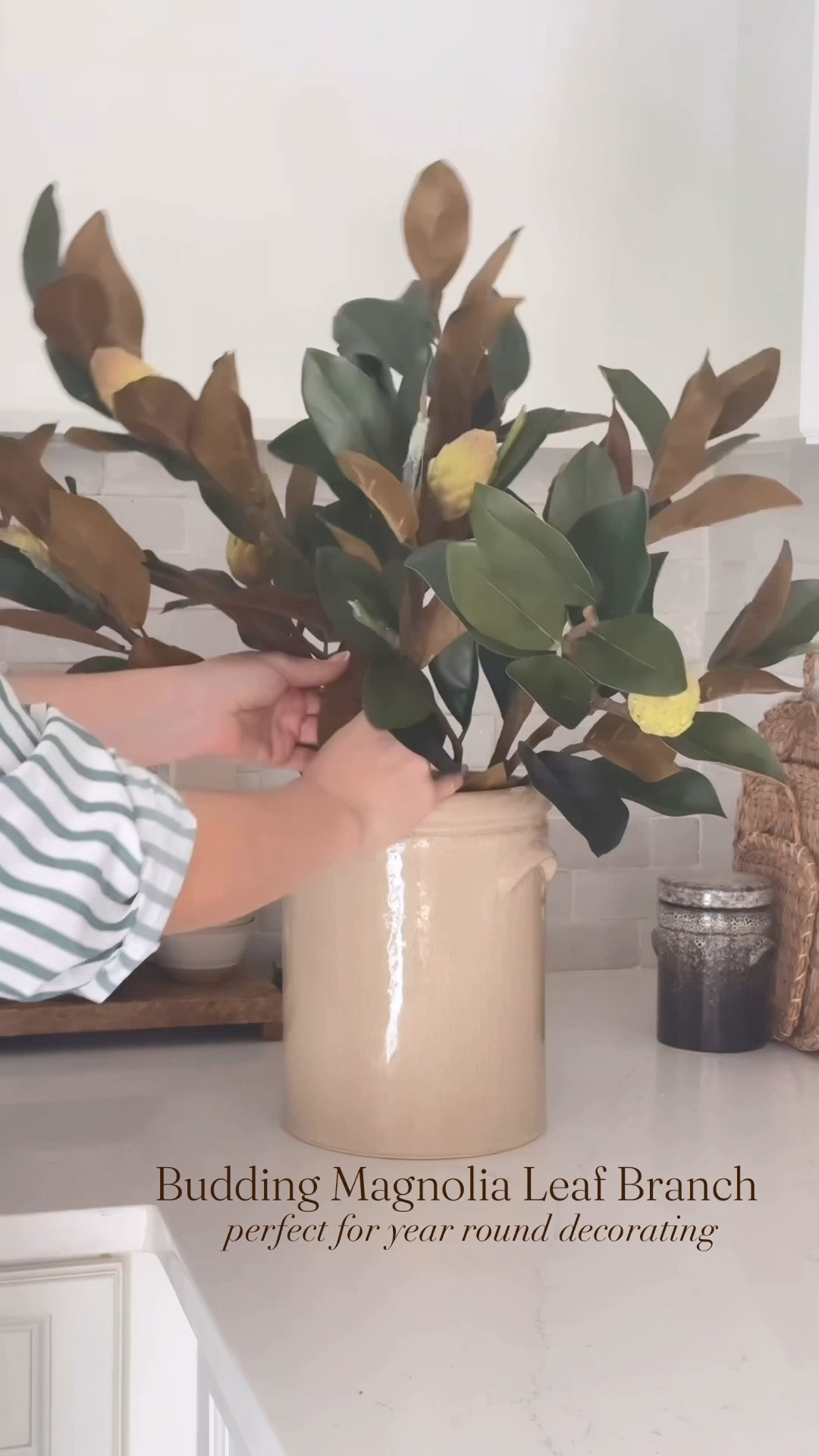 Magnolia | budding magnolia leaf branch | home decor | year round stems | winter stems | spring stems | French crock | year round decor | neutral home decor | afloral | kitchen counter decor | McGee & co | wood pedestal | under $50 | vase | wood pedestal | neutral cookbooks

#LTKFindsUnder50 #LTKFindsUnder100 #LTKHome