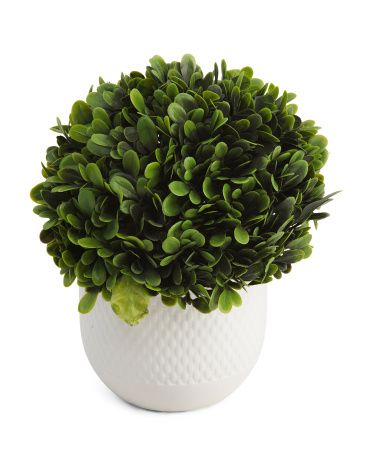 9in Topiary Ball In Pot | Home Essentials | Marshalls | Marshalls