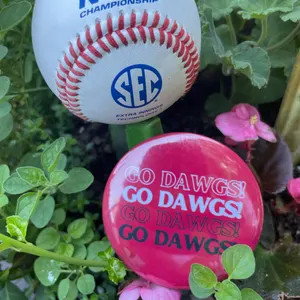 University of Georgia Gameday Buttons/Pins | Etsy (Global)