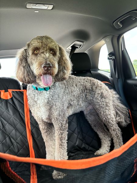 Our favorite back seat cover. We’ve had a few, this is the best. Includes a pocket which we use for storing the leash.