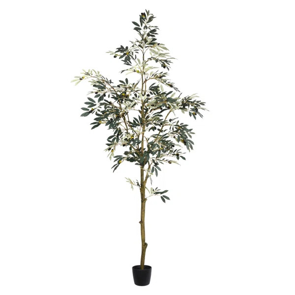 Vickerman 7' Artificial Potted Olive Tree. | Wayfair North America