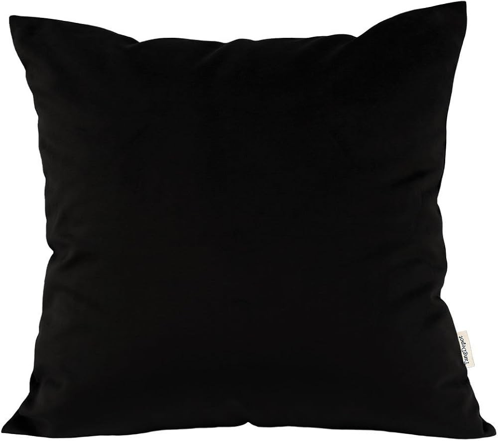 TangDepot Solid Velvet Throw Pillow Cover/Euro Sham/Cushion Sham, Super Luxury Soft Pillow Cases,... | Amazon (US)