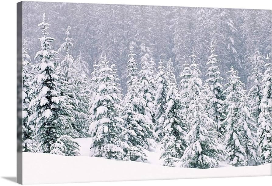 CANVAS ON DEMAND Snow Covered Pine Trees Canvas Wall Art Print, Home Decor, Winter Artwork, 48"x3... | Amazon (US)