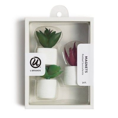 U Brands 3ct Succulent Plant Magnets | Target