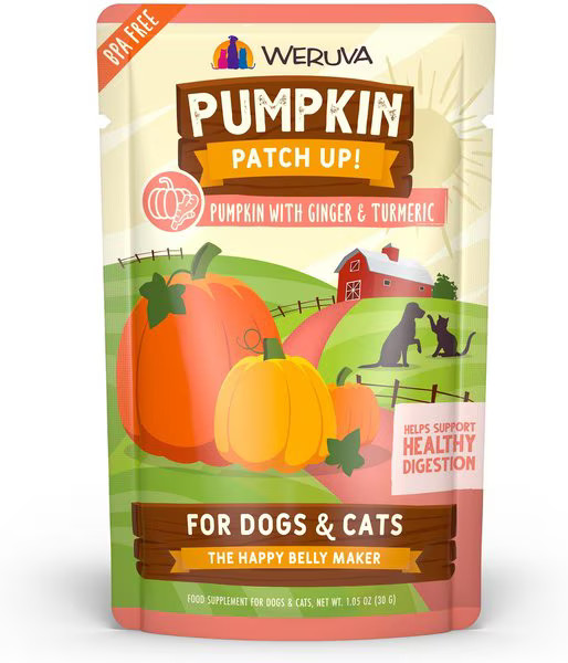 Weruva Pumpkin Patch Up! Pumpkin with Ginger & Turmeric Dog & Cat Wet Food Supplement | Chewy.com