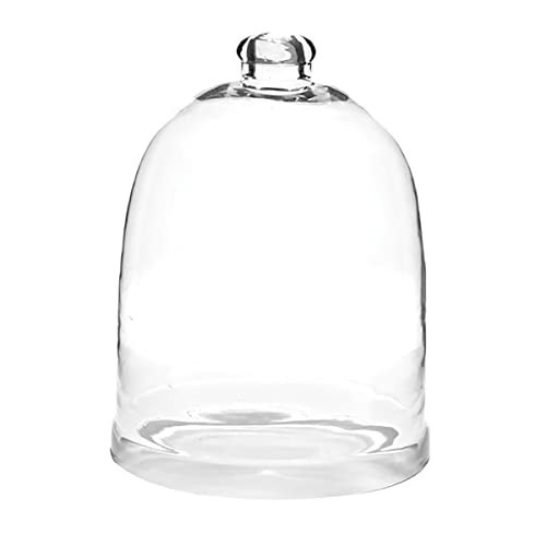 Park Designs Glass Bell Cloche 12” H | Decorative Clear Glass Dome for Home Décor | Elegant Display Cloche for Candles, Plants, Desserts, or Seasonal Arrangements | Rustic Farmhouse Table Accent | Amazon (US)